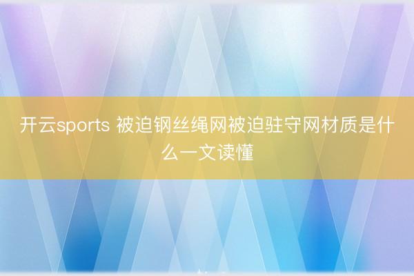 开云sports 被迫钢丝绳网被迫驻守网材质是什么一文读懂