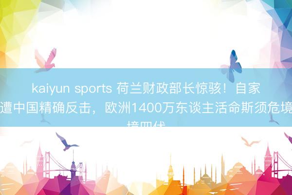 kaiyun sports 荷兰财政部长惊骇！自家禁令遭中国精确反击，欧洲1400万东谈主活命斯须危境四伏