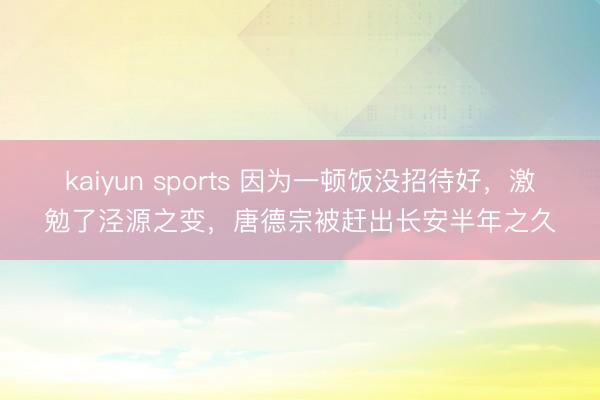 kaiyun sports 因为一顿饭没招待好，激勉了泾源之变，唐德宗被赶出长安半年之久