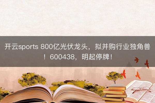 开云sports 800亿光伏龙头,拟并购行业独角兽!600438,明起停牌!